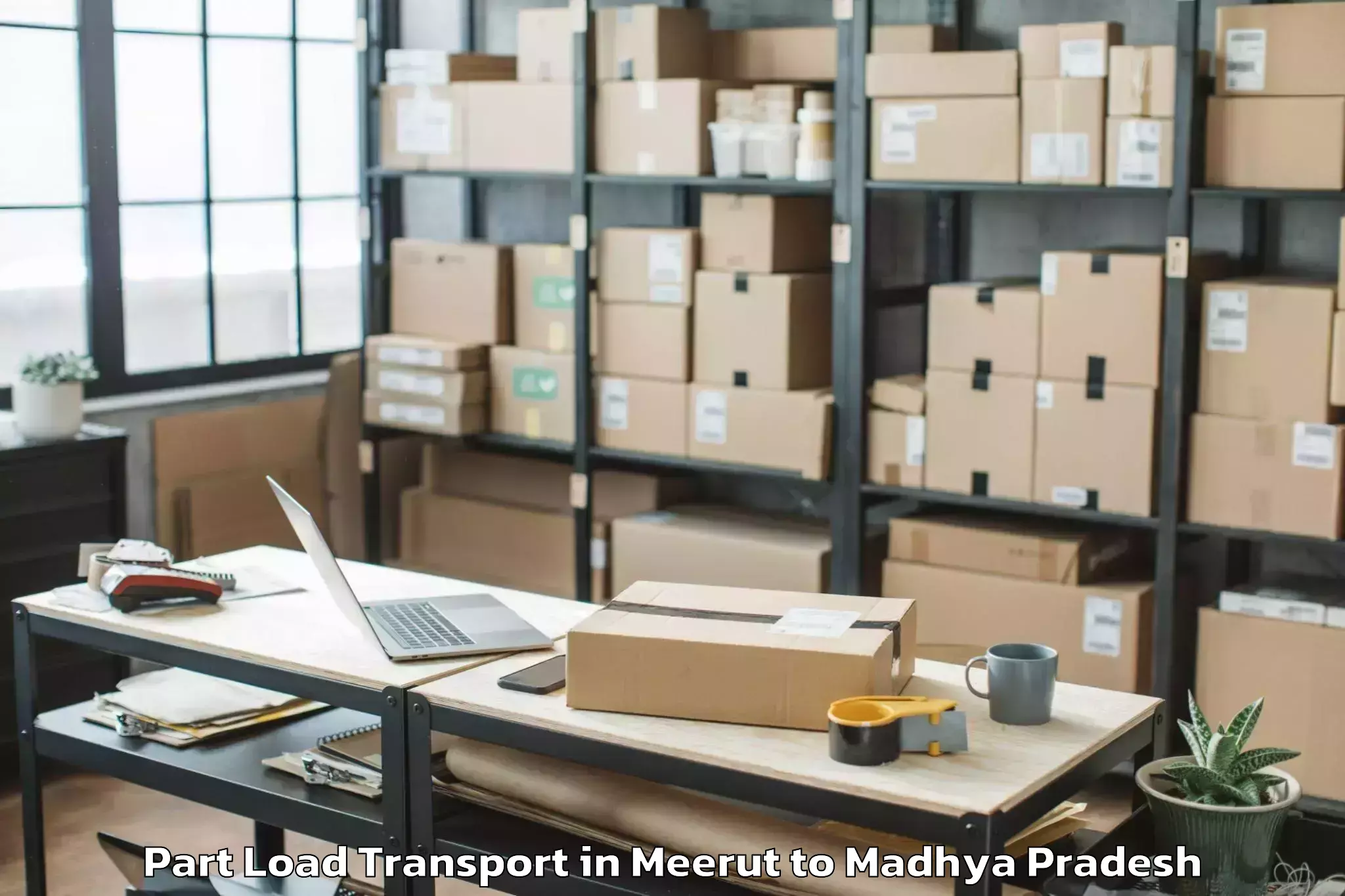 Reliable Meerut to Sanchi Part Load Transport